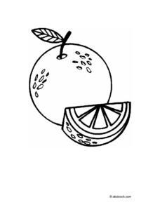 Color the orange Worksheet for Pre-K - 2nd Grade | Lesson Planet