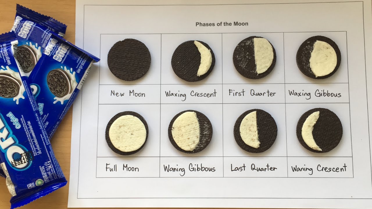 oreo moon phases worksheet