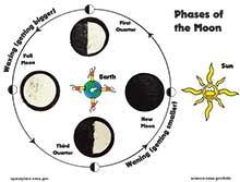 Make Oreo Moon Phases! | NASA Space Place - NASA Science for Kids