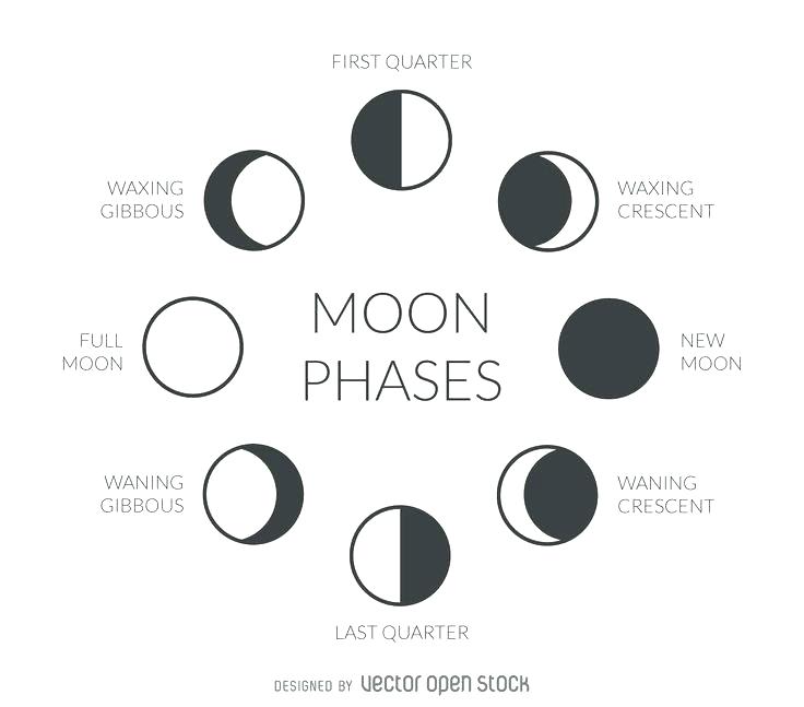 oreo moon phases worksheet