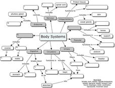 Body Systems Worksheet for 9th - 12th Grade | Lesson Planet