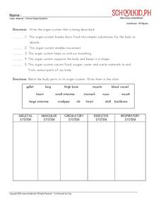 organ system worksheet