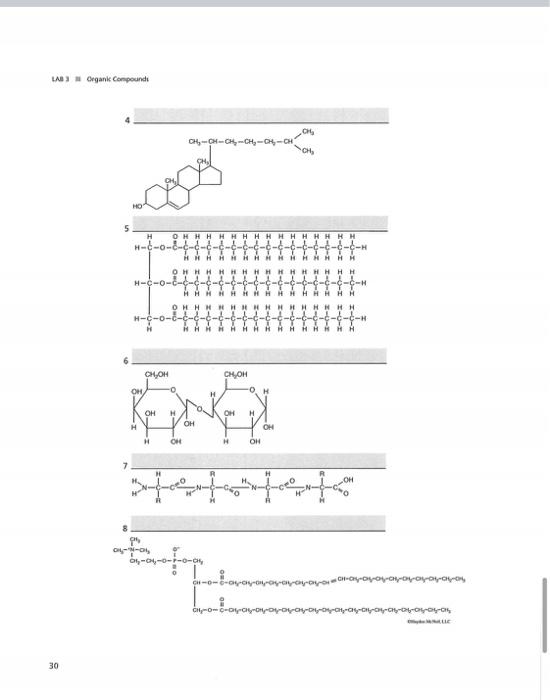 Solved Organic Compounds LB 3 3 Organic Compounds Worksheet ...