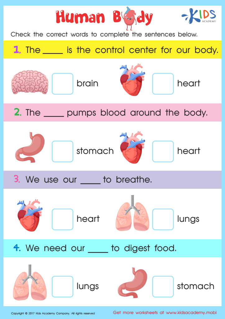 Internal Organs Worksheet, Printable PDF for Kids