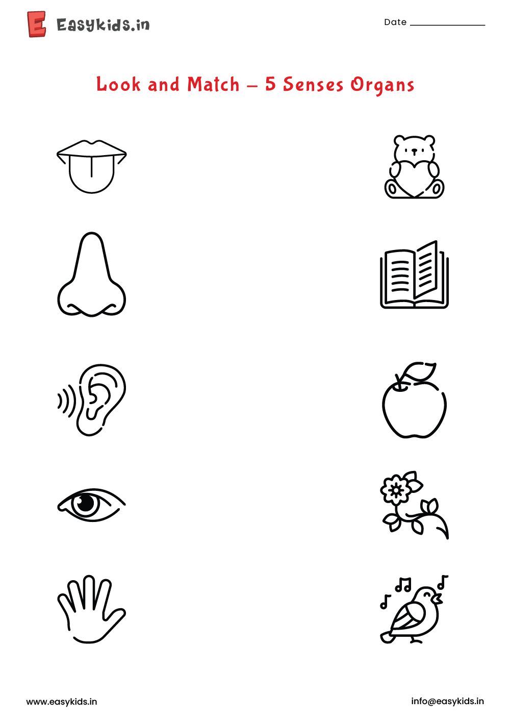 5 Senses Organs - Look and Match worksheet