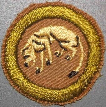 Discontinued Boy Scout Merit Badges - Stalking | Soldier Systems ...