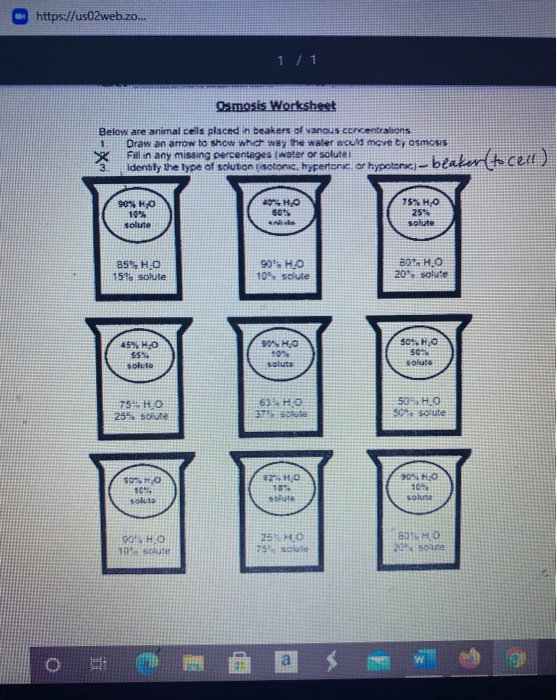 Solved https://us02web.zo... 1 / 1 Osmosis Worksheet Below | Chegg.com
