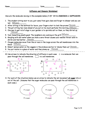 Diffusion And Osmosis Worksheet - Fill Online, Printable, Fillable ...