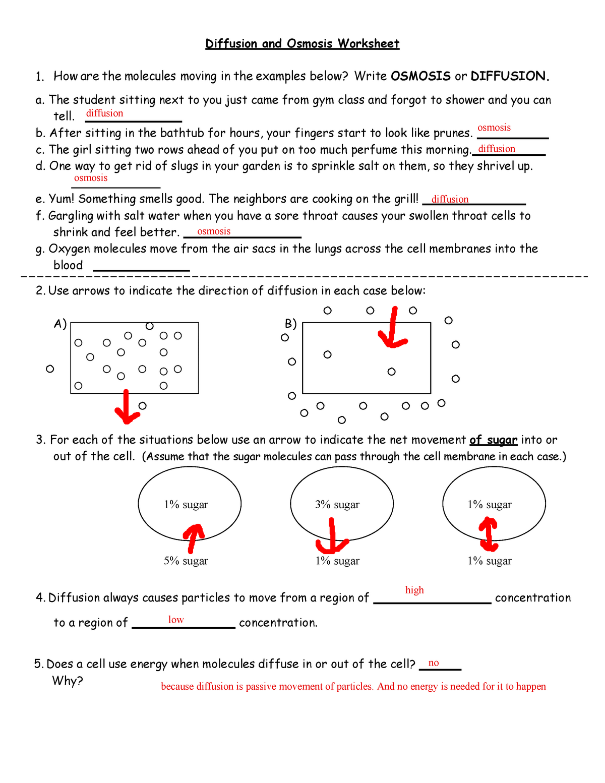 Grade 7 - English review worksheet | Live Worksheets - Worksheets Library
