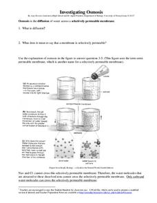 Investigating Osmosis Worksheet for 7th - Higher Ed | Lesson Planet