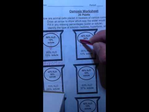 Osmosis worksheet for sub