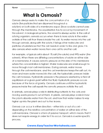 Osmosis Worksheets