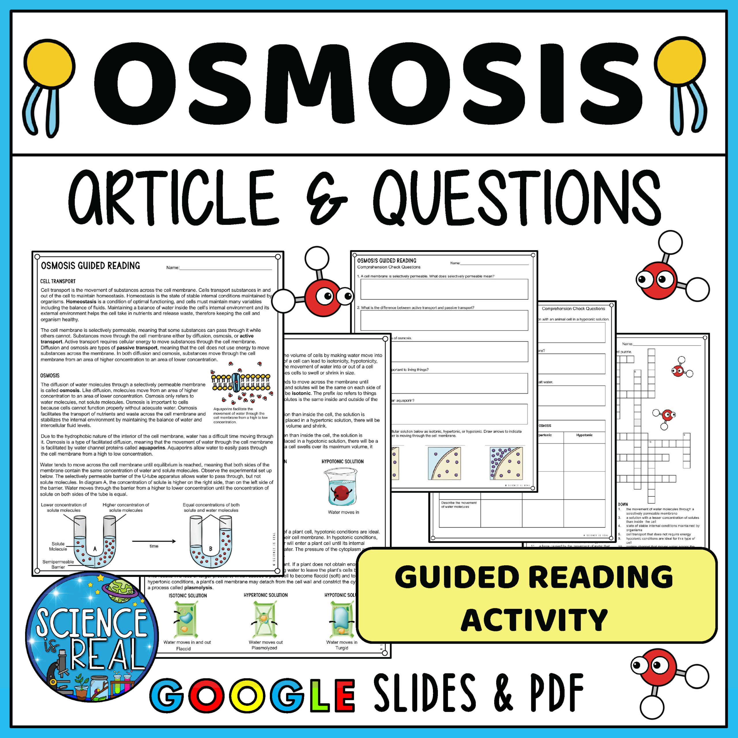 Osmosis Reading Comprehension and Questions - Osmosis Worksheets ...