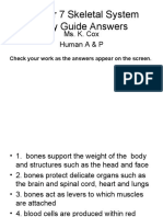 All About Bones | PDF | Skeleton | Bone