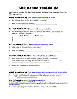 Bones worksheet | PDF