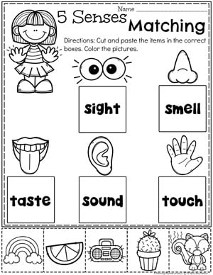 5 Senses - Planning Playtime