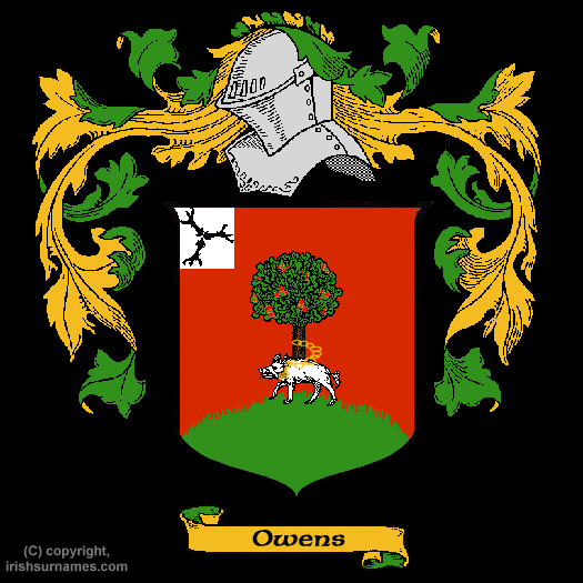 owens Coat of Arms, Family Crest - Free Image to View - owens Name ...