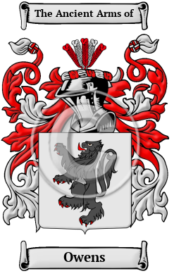 Owens Name Meaning, Family History, Family Crest &  Coats of Arms