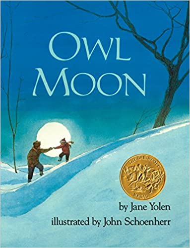 Owl Moon - Book Activities - Learn As You Play