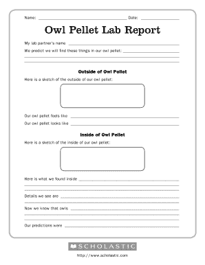 owl pellet dissection lab worksheet