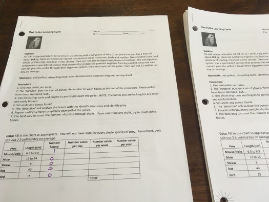 Owl Pellet Dissection-Trophic Levels and Energy Loss - Teaching AP ...