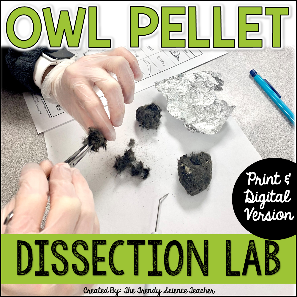 Owl Pellet Dissection Lab Print & Digital Options ⋆ The Trendy Worksheets Library