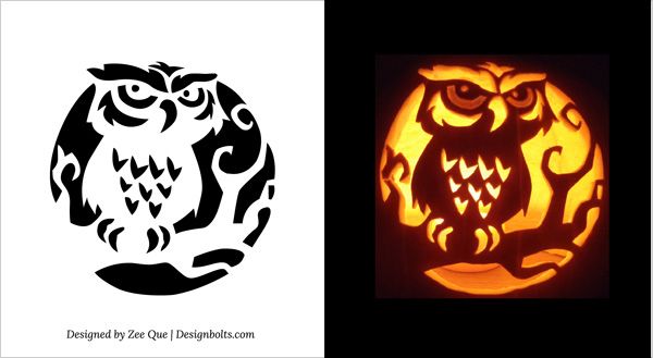 Owl Pumpkin Carving Stencils - 10 Free PDF Printables | Printablee