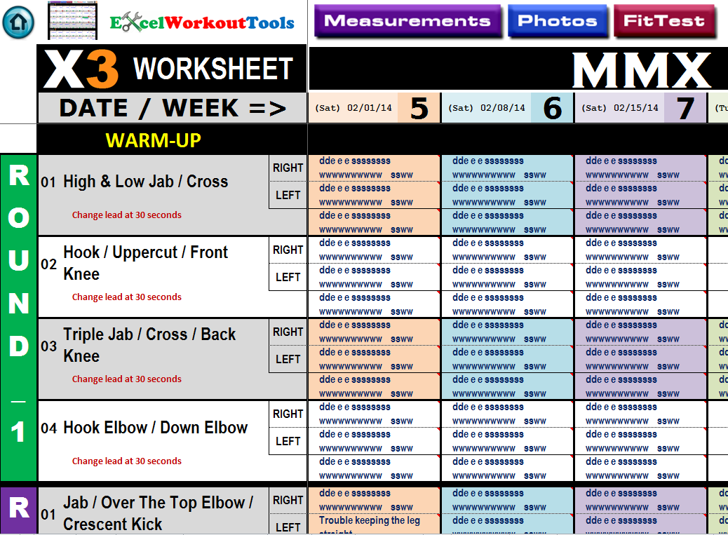 Excel Workout Tool for P90X3