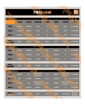 P90x3 Excel - Fill and Sign Printable Template Online