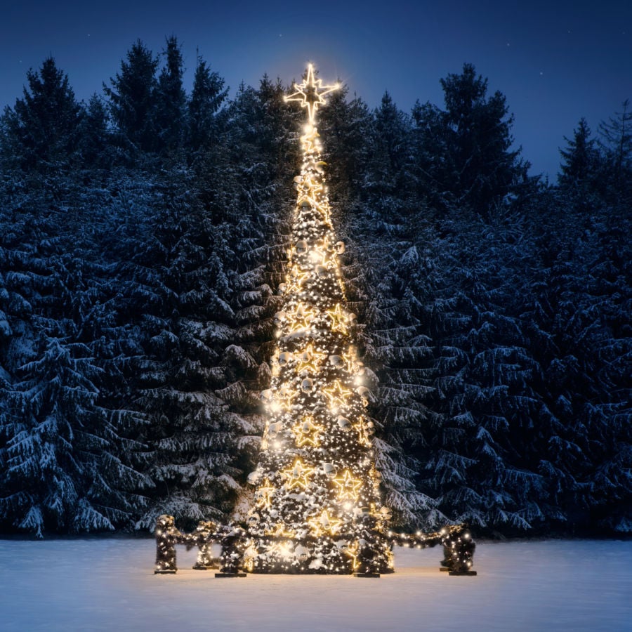 Pagan Christmas? Nope! | Catholic Answers Magazine