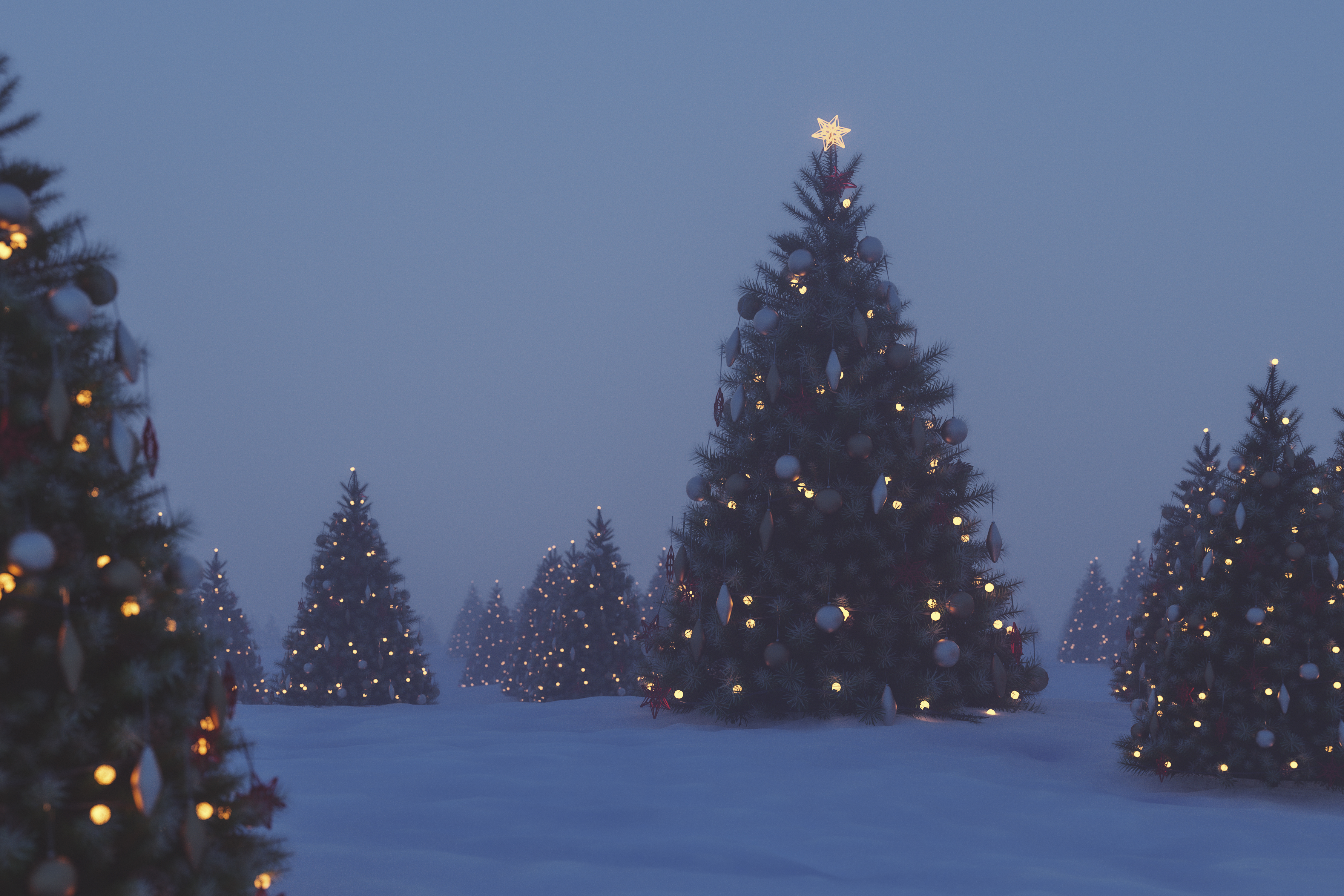 Is Christmas a Pagan Holiday? - What Would You Say