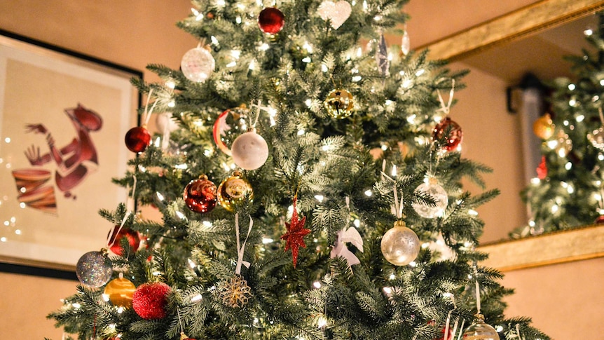 Debunking the Myth of Christmass Pagan Roots: The True Origins of ...