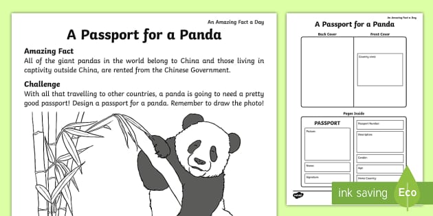 A Passport for a Panda Worksheet / Worksheet - Twinkl
