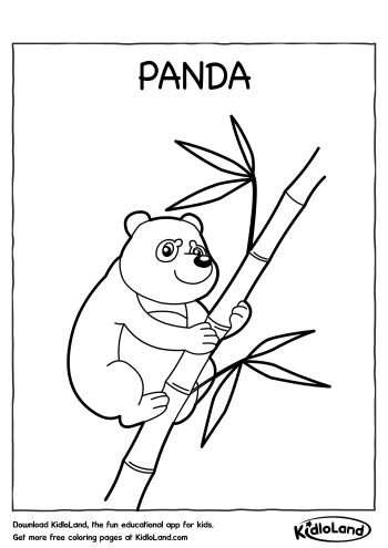 Download Free Panda Coloring Page and educational activity ...