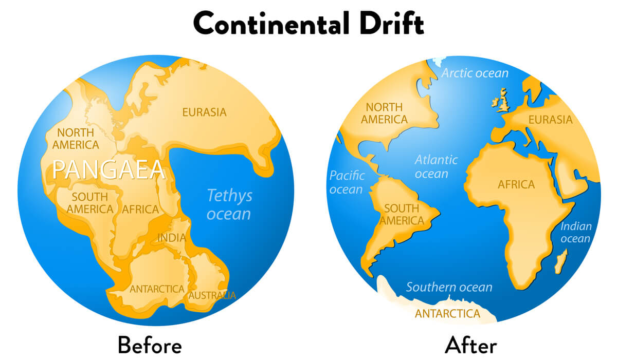 Pangaea