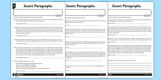 Paragraphs - Insects Differentiated Worksheet / Worksheet Pack