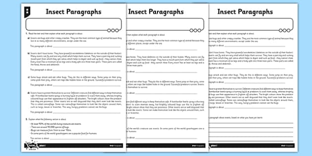 Paragraphs - Insects Differentiated Worksheet / Worksheet Pack