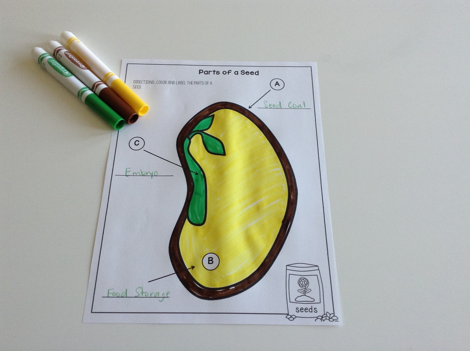 part of a seed worksheet