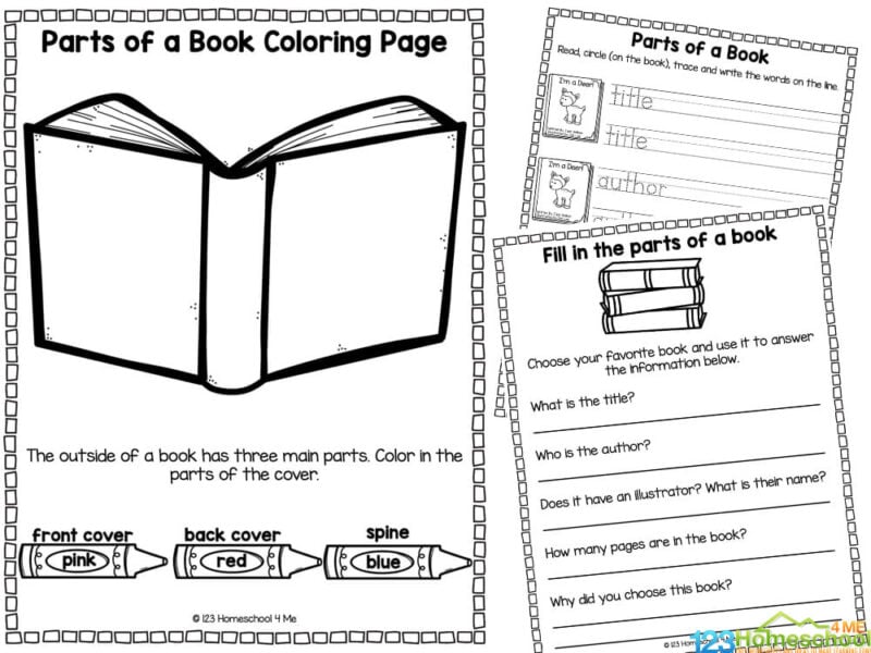 Kindergarten Parts of A Book Worksheets 2024 Worksheets Library
