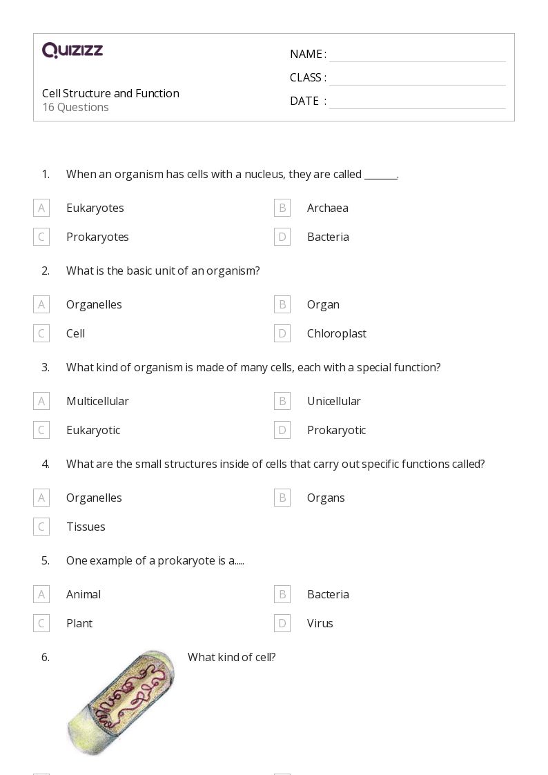 parts of a cell and their functions worksheet