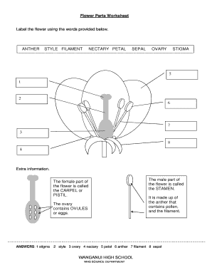 parts of a flower worksheet pdf