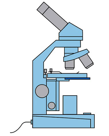 parts of a microscope worksheet for kids