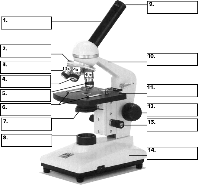 parts of a microscope worksheet for kids