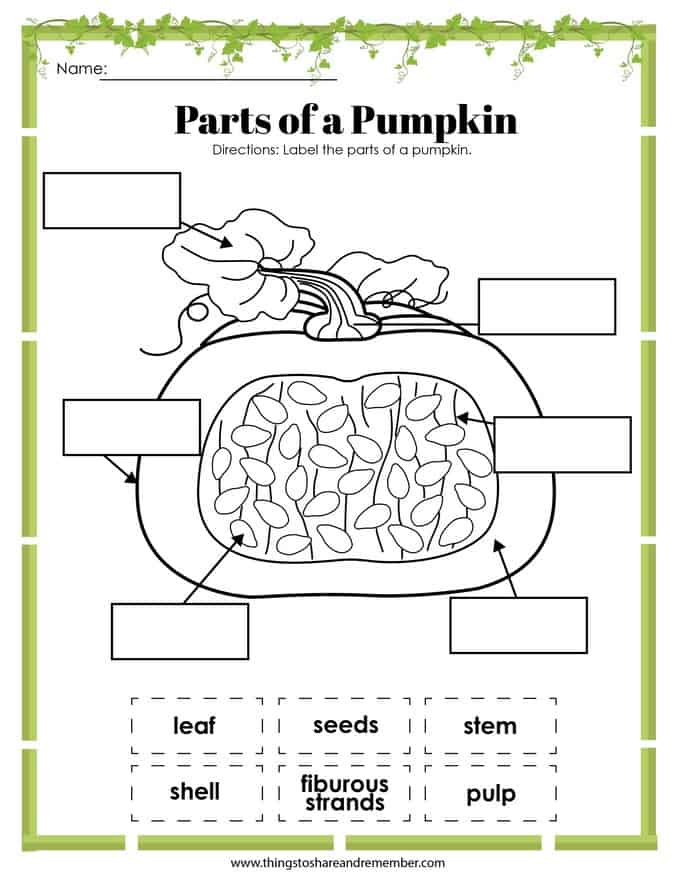 parts of a pumpkin worksheet