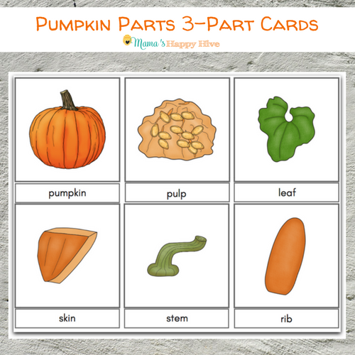 parts of a pumpkin worksheet