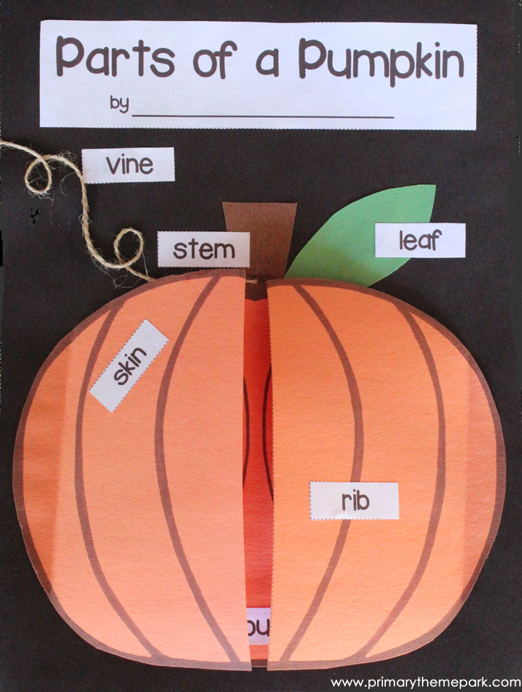 parts of a pumpkin worksheet