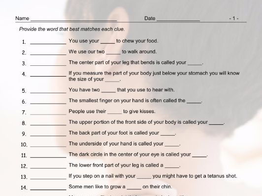 parts of a sentence worksheet