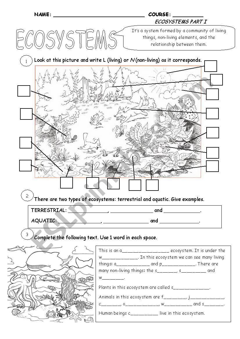 parts of an ecosystem worksheet
