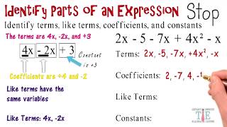 parts of an expression worksheet