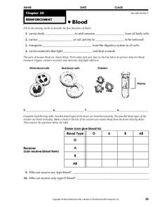 Parts of the Body Worksheets :: 193 - 216